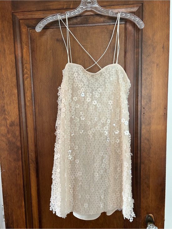 Zara Dresses & Skirts - Zara Light Cream Sequin Floral Slip Dress